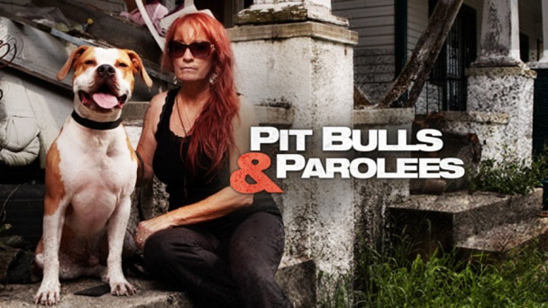 Pit bull and parolees